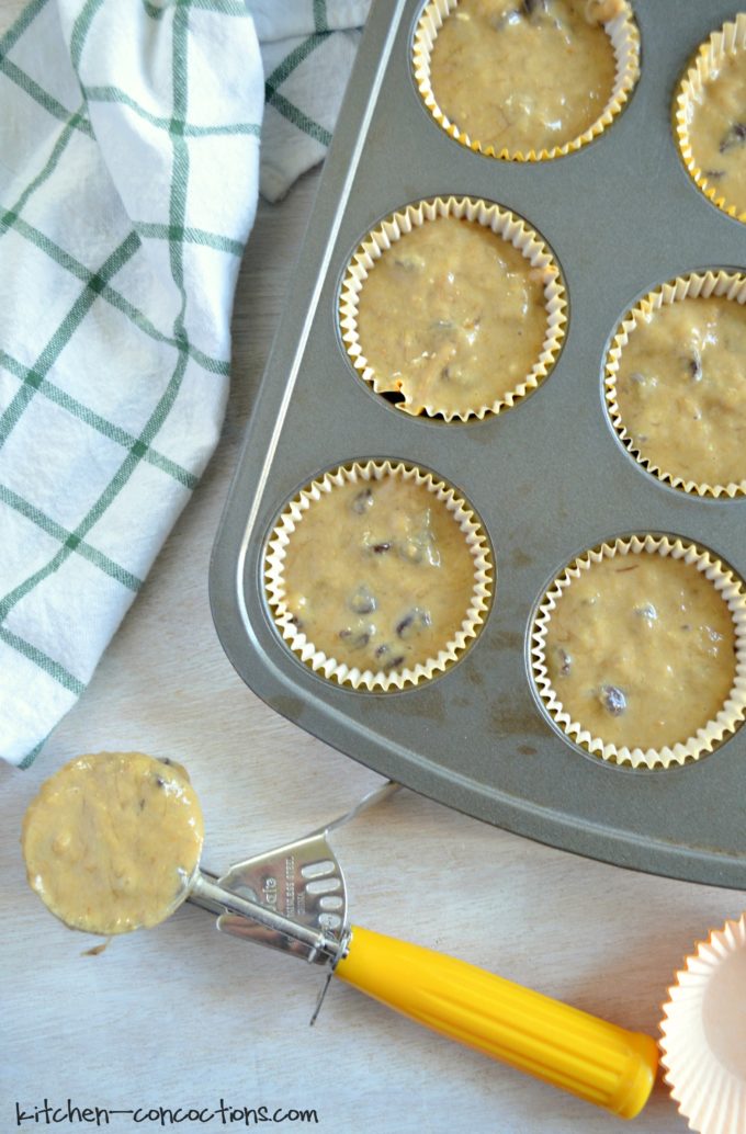 Bookworm Reading Party and Bookworm Cupcakes - Kitchen Concoctions