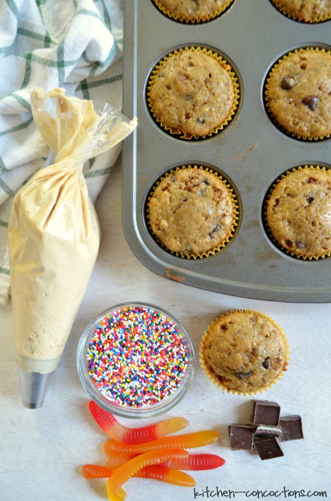Bookworm Reading Party and Bookworm Cupcakes - Kitchen Concoctions